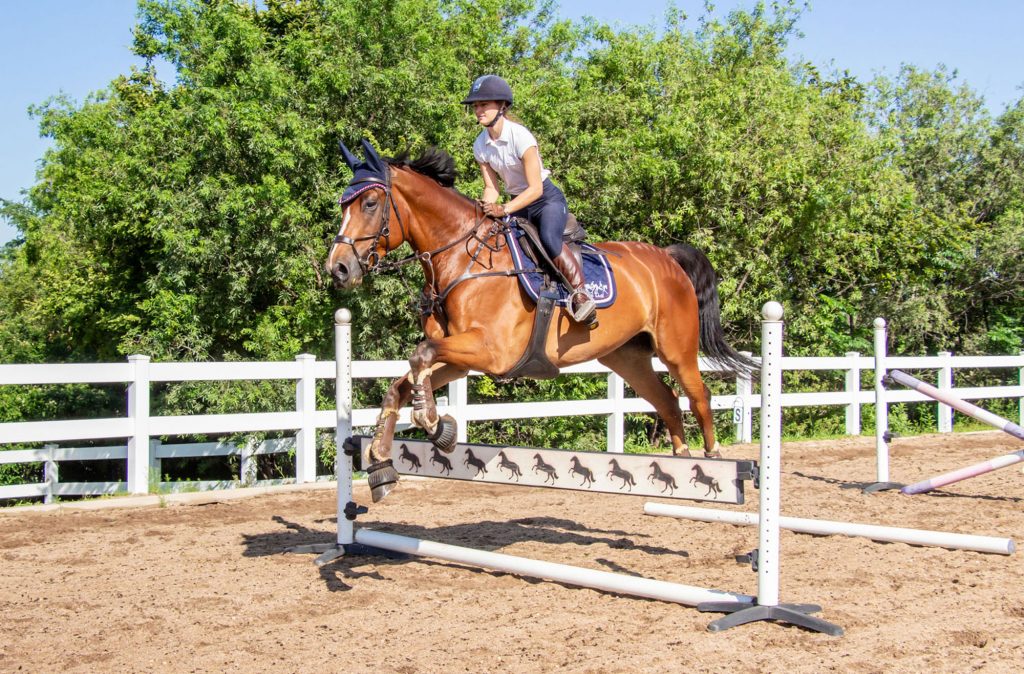 Lessons Offer Steady Path to Horseback Jumping